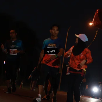Runner Photo 4955944