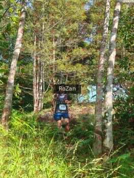 Runner Photo 4963
