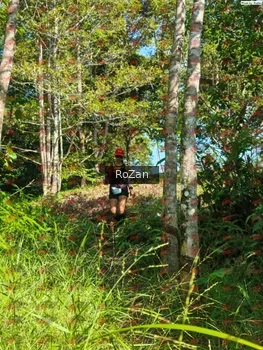Runner Photo 4972
