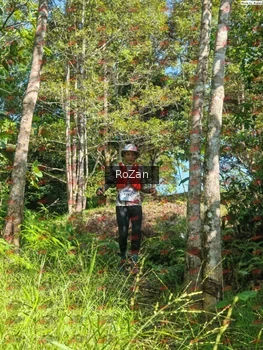 Runner Photo 4983