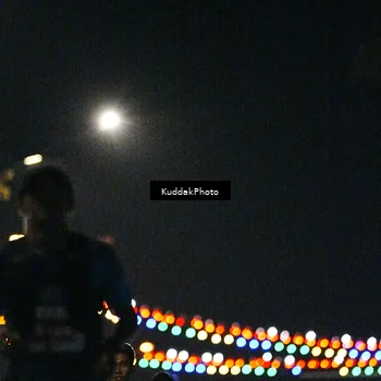 Runner Photo 4987355
