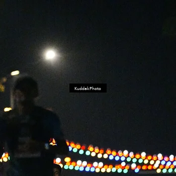 Runner Photo 4987358