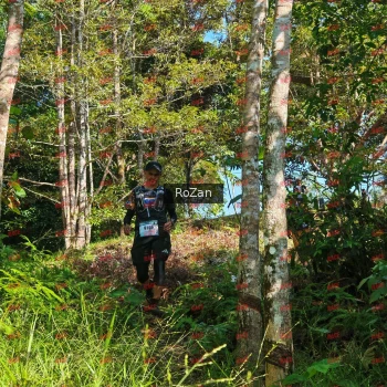 Runner Photo 5009
