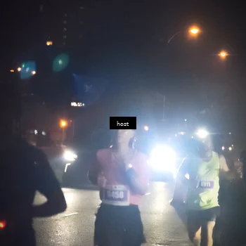 Runner Photo 5018792