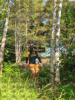 Runner Photo 5021