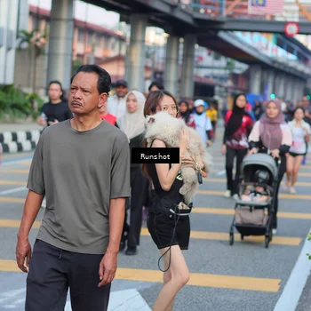 Runner Photo 5033252