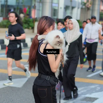 Runner Photo 5033265