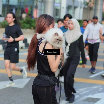 Runner Photo 5033266