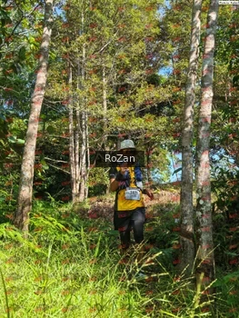 Runner Photo 5042