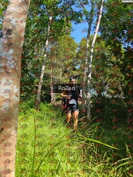 Runner Photo 5052