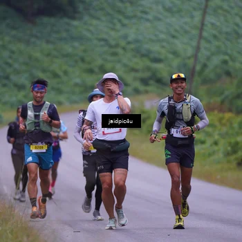 Runner Photo 5052323