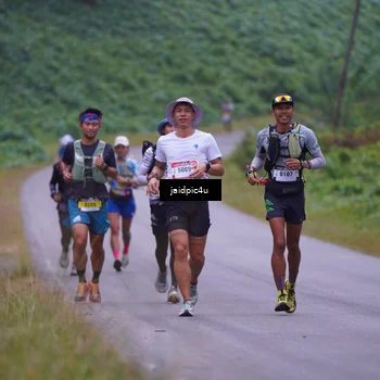 Runner Photo 5052326