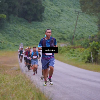 Runner Photo 5052936