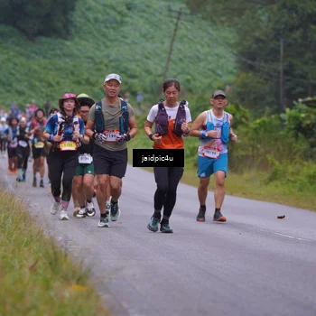 Runner Photo 5053786