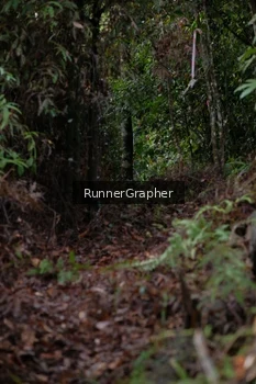 Runner Photo 5054035