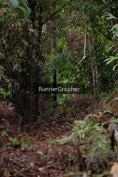 Runner Photo 5054040