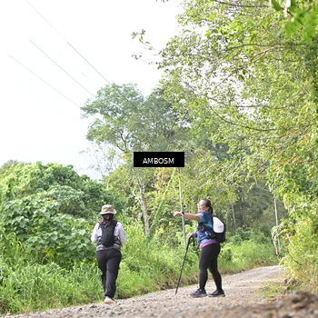 Runner Photo 5054570