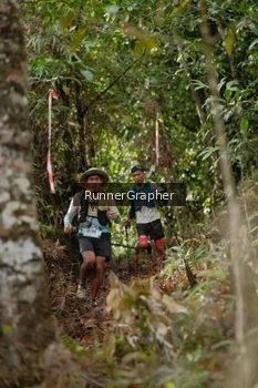 Runner Photo 5054603