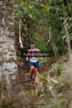Runner Photo 5054606