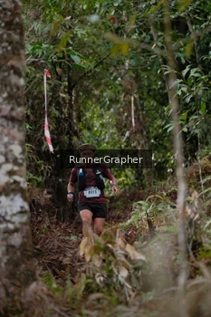 Runner Photo 5054614