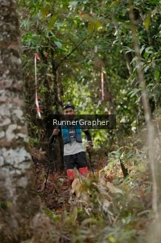 Runner Photo 5054621