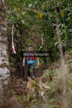 Runner Photo 5054626