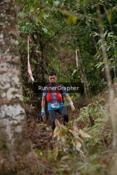 Runner Photo 5054631
