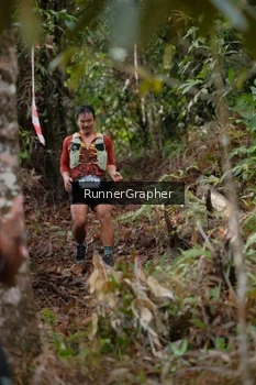 Runner Photo 5054634