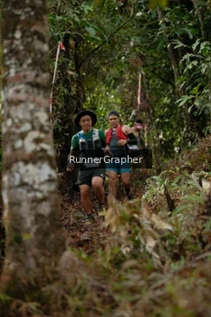Runner Photo 5054635