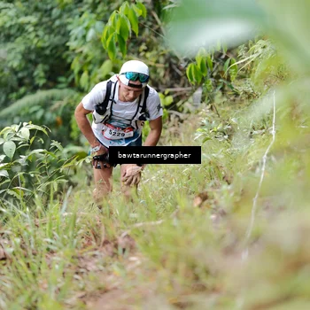 Runner Photo 5054658