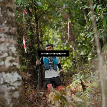 Runner Photo 5054661
