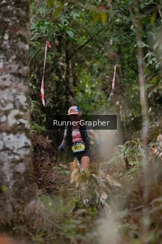 Runner Photo 5054665