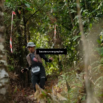 Runner Photo 5054685