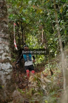 Runner Photo 5054695