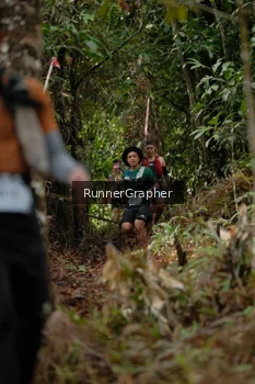 Runner Photo 5054697