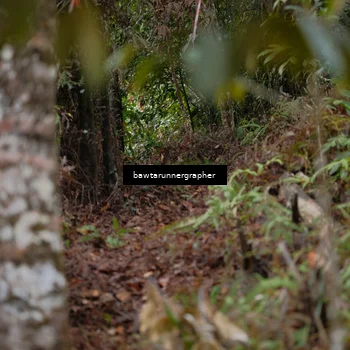 Runner Photo 5054724