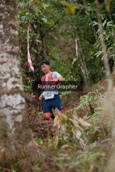 Runner Photo 5054760