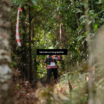 Runner Photo 5054803
