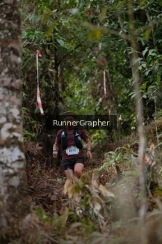 Runner Photo 5054807