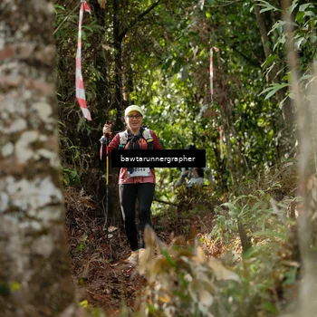Runner Photo 5054838