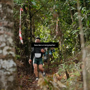 Runner Photo 5054846