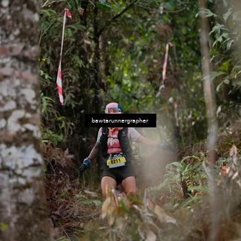 Runner Photo 5054849