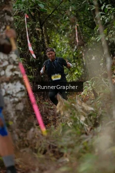 Runner Photo 5054862