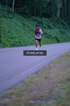 Runner Photo 5055041