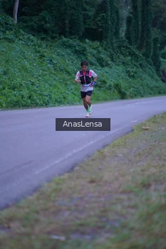 Runner Photo 5055043