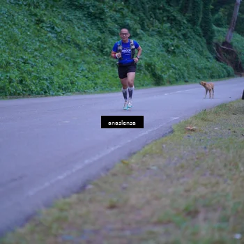 Runner Photo 5055718