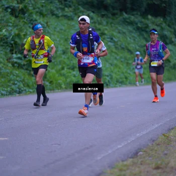 Runner Photo 5055868
