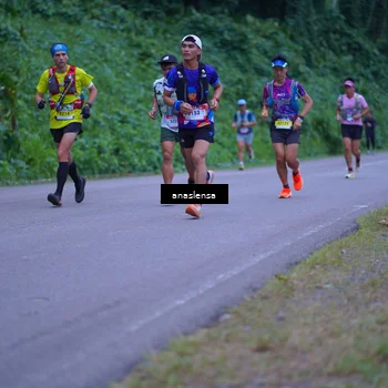Runner Photo 5055870