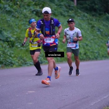 Runner Photo 5055873