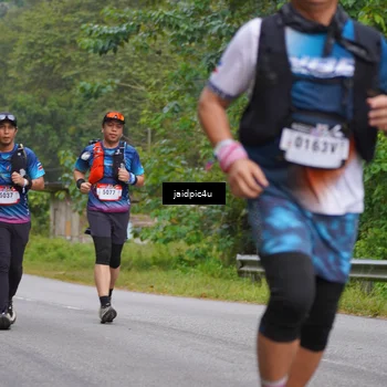 Runner Photo 5055987